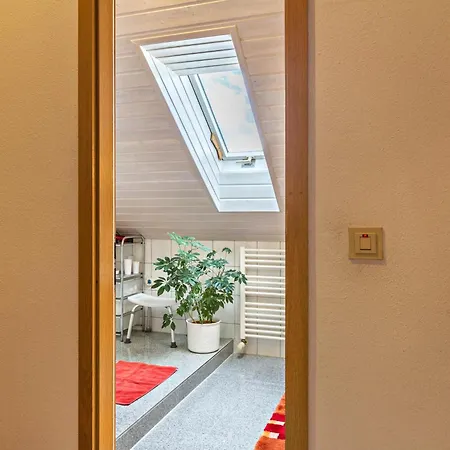 Apartmán Haus Am Muehlenbach *